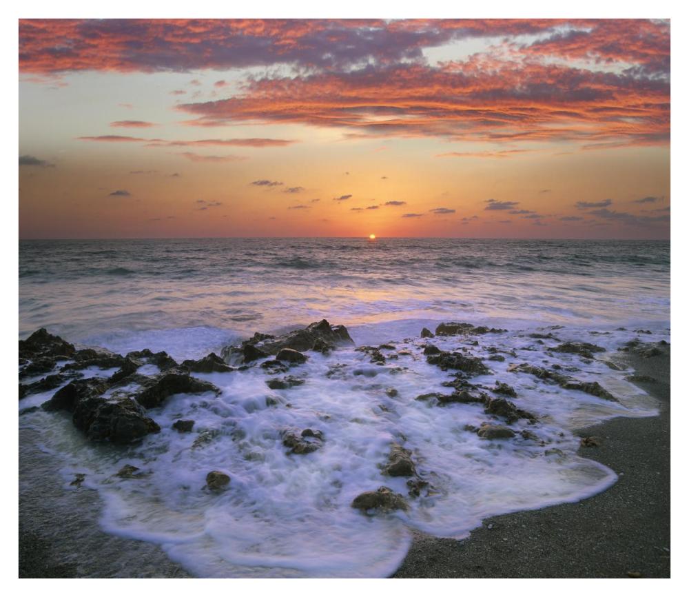 Coast at sunset, Blowing Rocks Beach, Jupiter Island, Florida-Paper Art-38"x32.96"