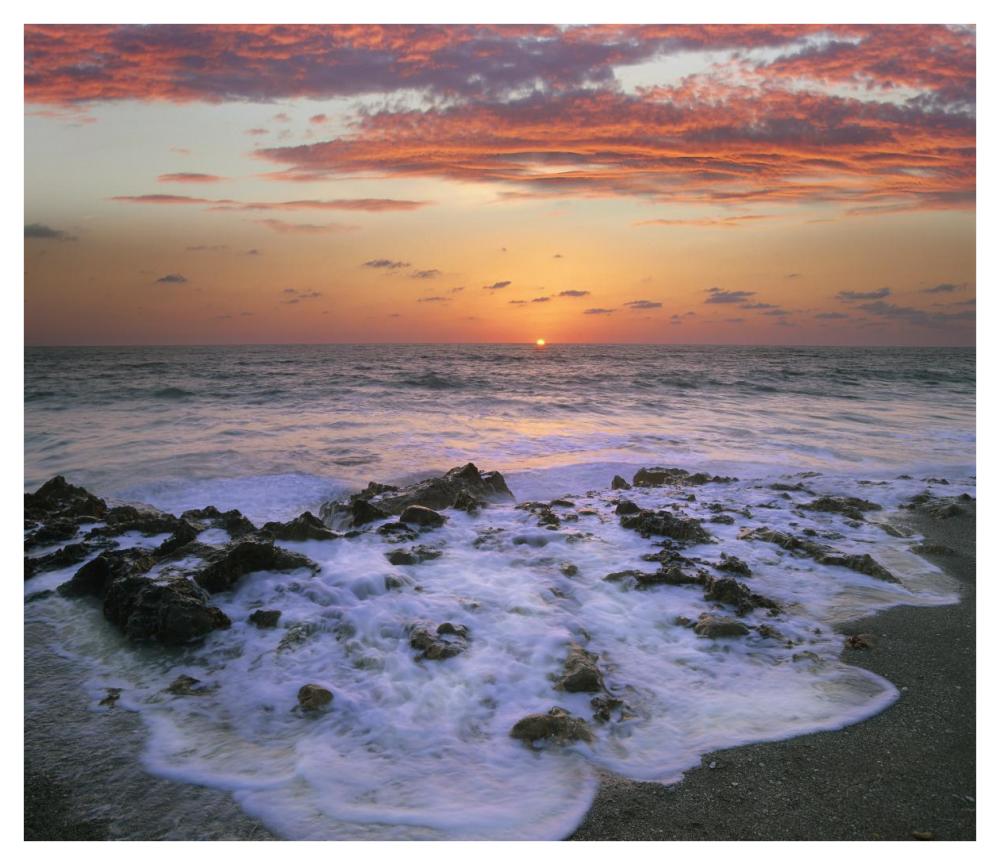 Coast at sunset, Blowing Rocks Beach, Jupiter Island, Florida-Paper Art-42"x36.4"