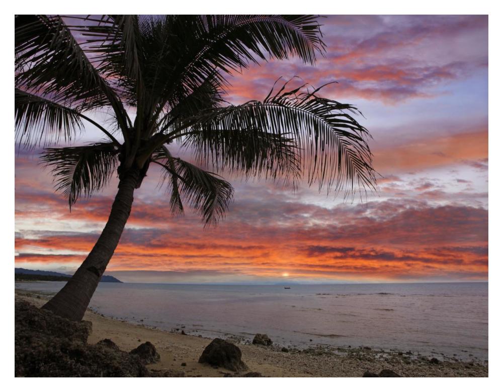 Coconut Palm at sunset near Dimiao, Bohol Island, Philippines-Paper Art-18"x14"
