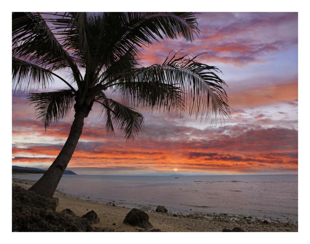 Coconut Palm at sunset near Dimiao, Bohol Island, Philippines-Paper Art-26"x20"