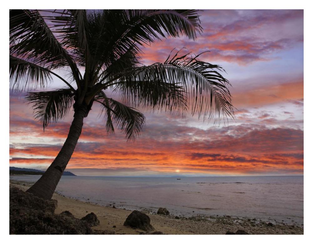 Coconut Palm at sunset near Dimiao, Bohol Island, Philippines-Paper Art-34"x26"