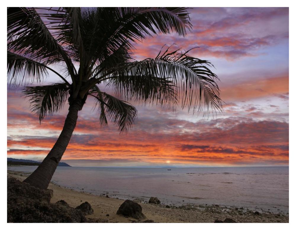 Coconut Palm at sunset near Dimiao, Bohol Island, Philippines-Paper Art-42"x32"