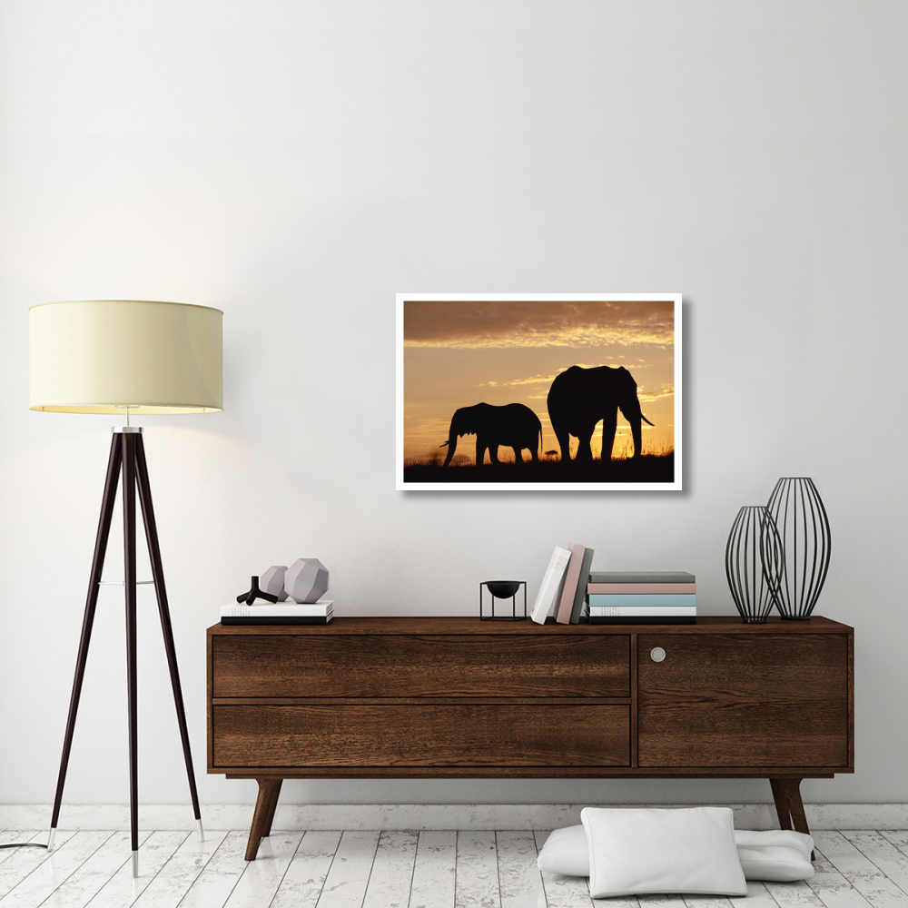 African Elephant mother and calf silhouetted at sunset, Kenya-Paper Art-38&quotx26"