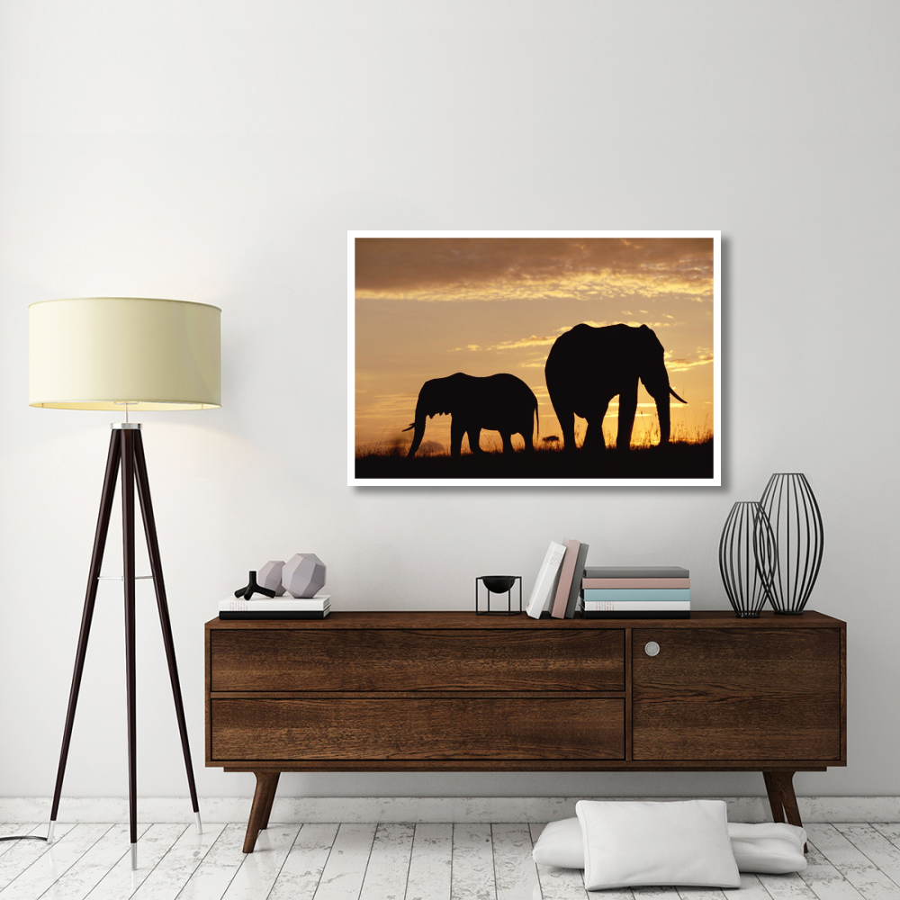 African Elephant mother and calf silhouetted at sunset, Kenya-Paper Art-50&quotx34"
