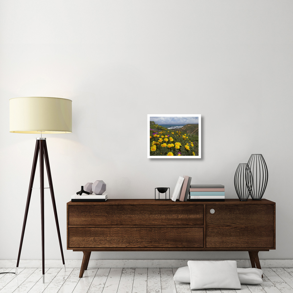 California Poppy field, Montano de Oro State Park, California-Paper Art-22&quotx18"