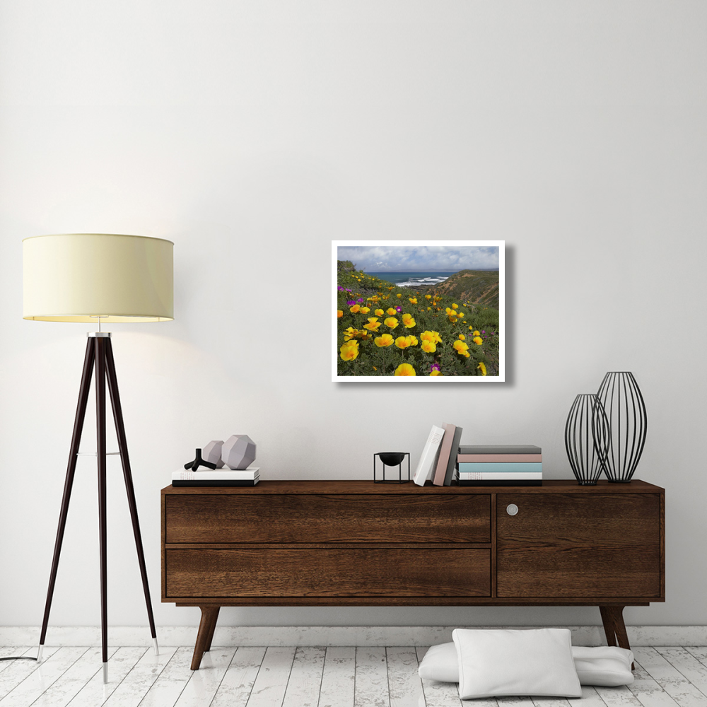 California Poppy field, Montano de Oro State Park, California-Paper Art-30&quotx24"