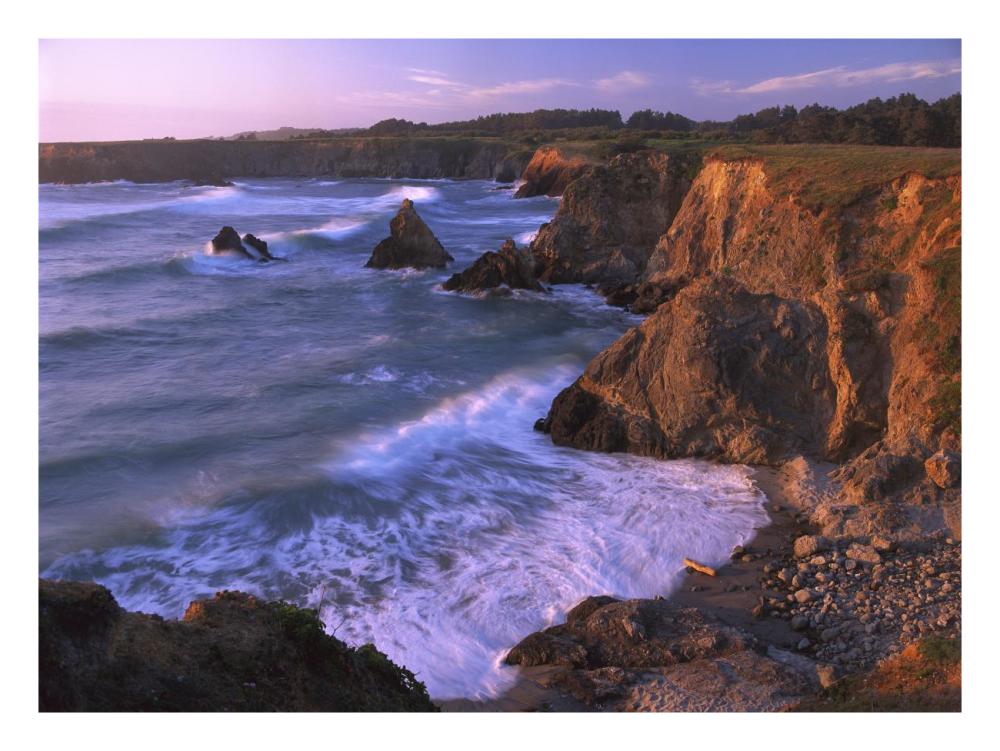 Beach at Jughandle State Reserve, Mendocino County, California-Paper Art-26"x20"