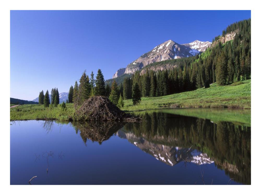 Gothic Mountain and Beaver Lodge, near Crested Butte, Colorado-Paper Art-26"x20"