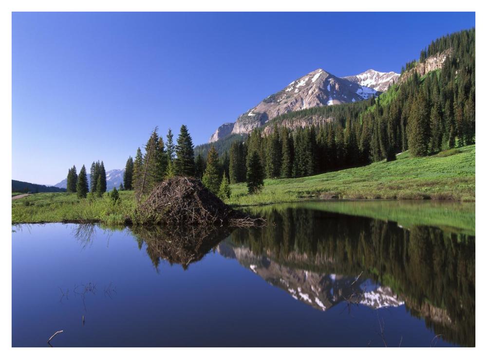 Gothic Mountain and Beaver Lodge, near Crested Butte, Colorado-Paper Art-42"x32"