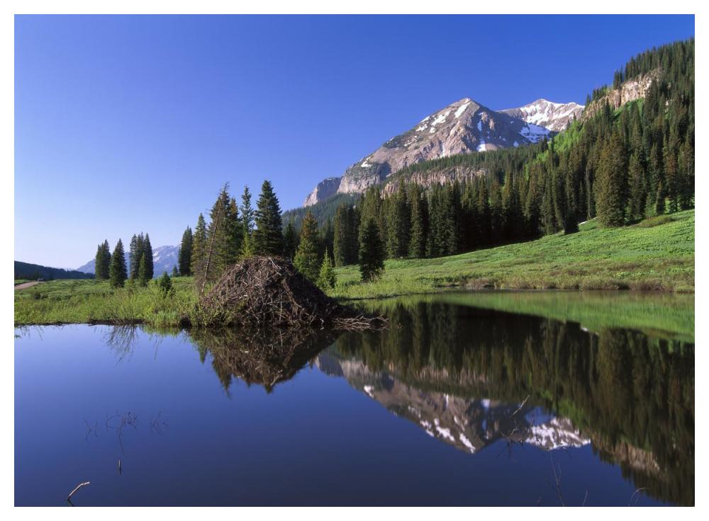 Gothic Mountain and Beaver Lodge, near Crested Butte, Colorado-Paper Art-50"x38"