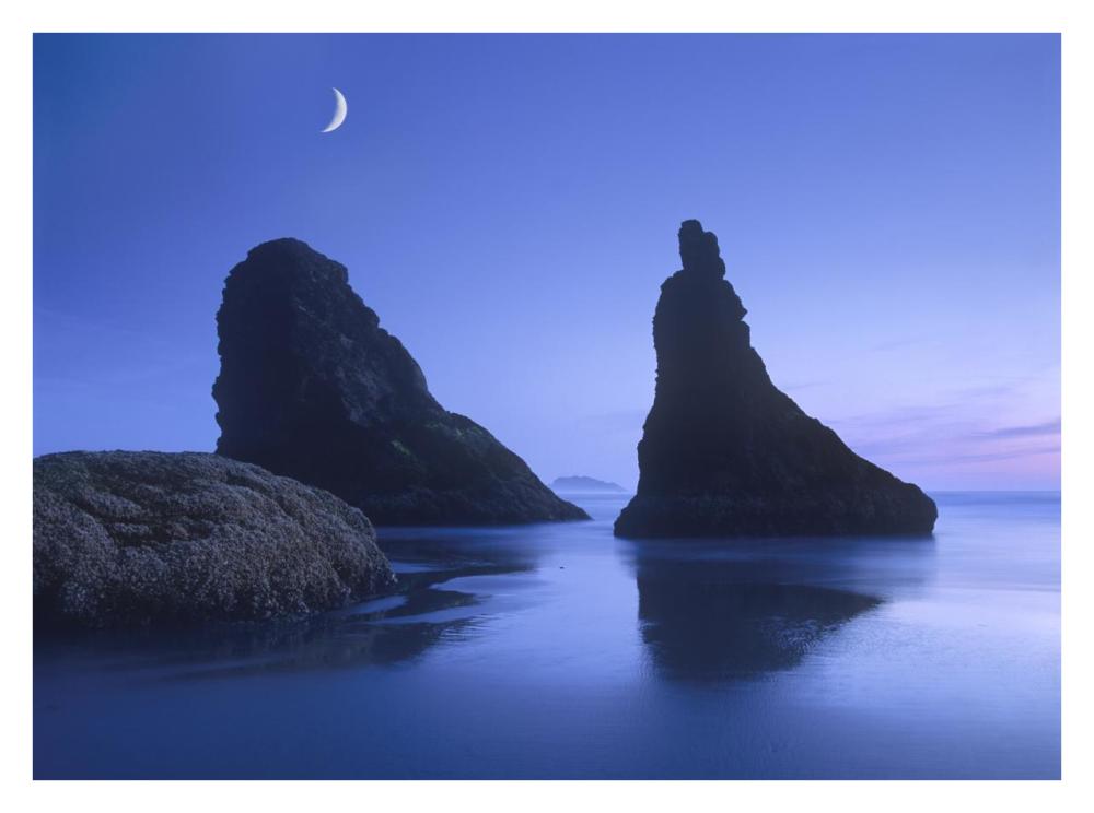 Sea stacks at dusk along Bandon Beach with rising moon, Oregon-Paper Art-34"x26"