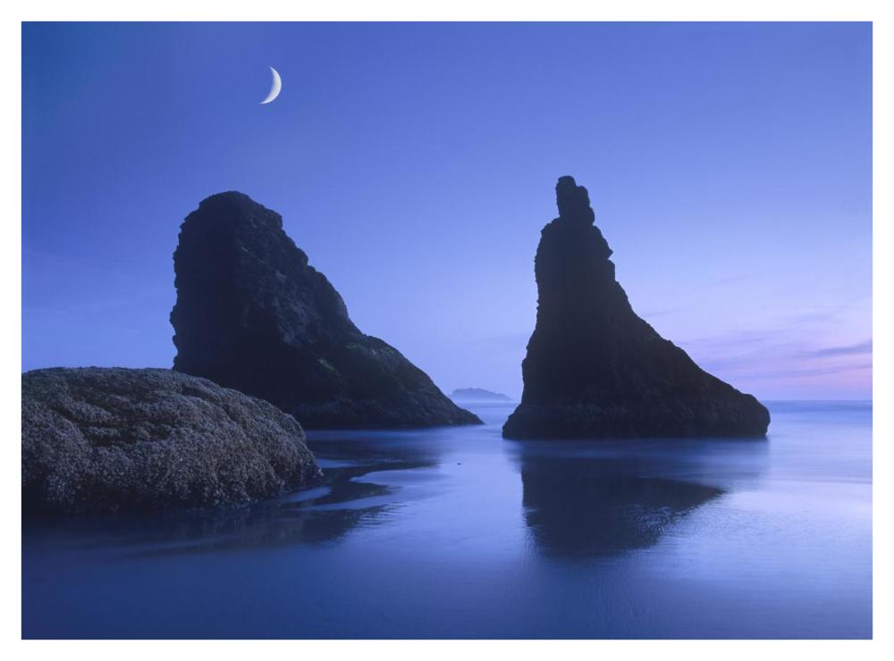 Sea stacks at dusk along Bandon Beach with rising moon, Oregon-Paper Art-42"x32"