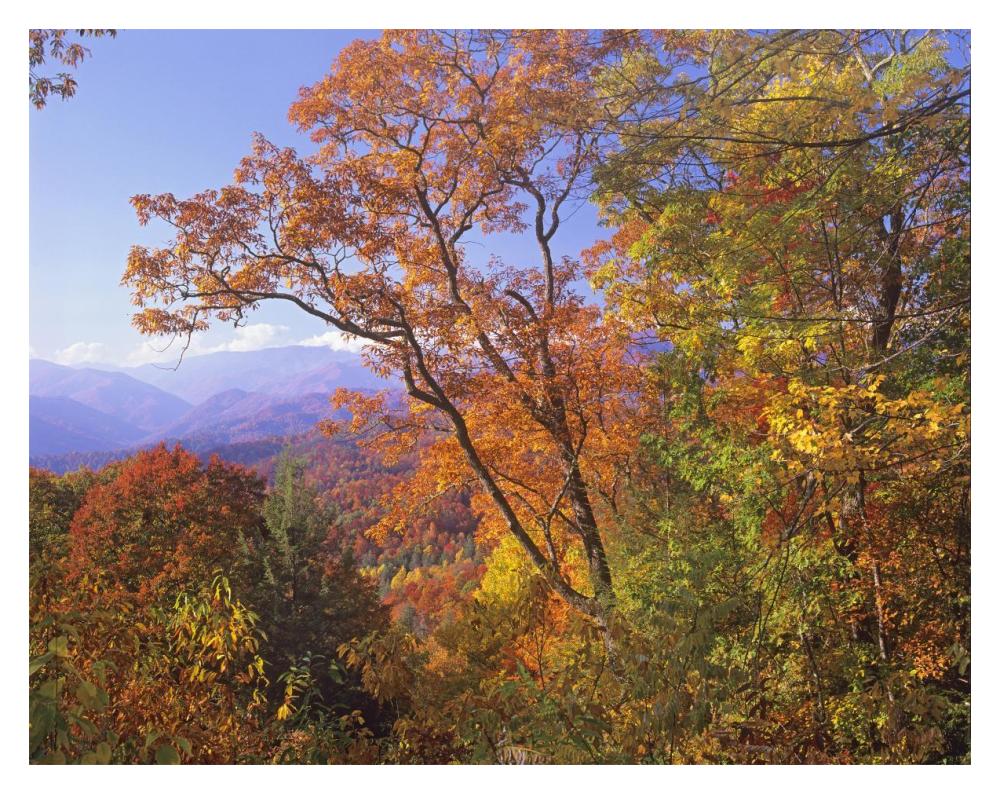 Great Smoky Mountains from, Blue Ridge Parkway, North Carolina-Paper Art-18"x14"
