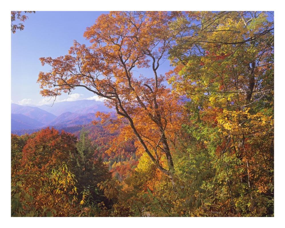Great Smoky Mountains from, Blue Ridge Parkway, North Carolina-Paper Art-26"x20"