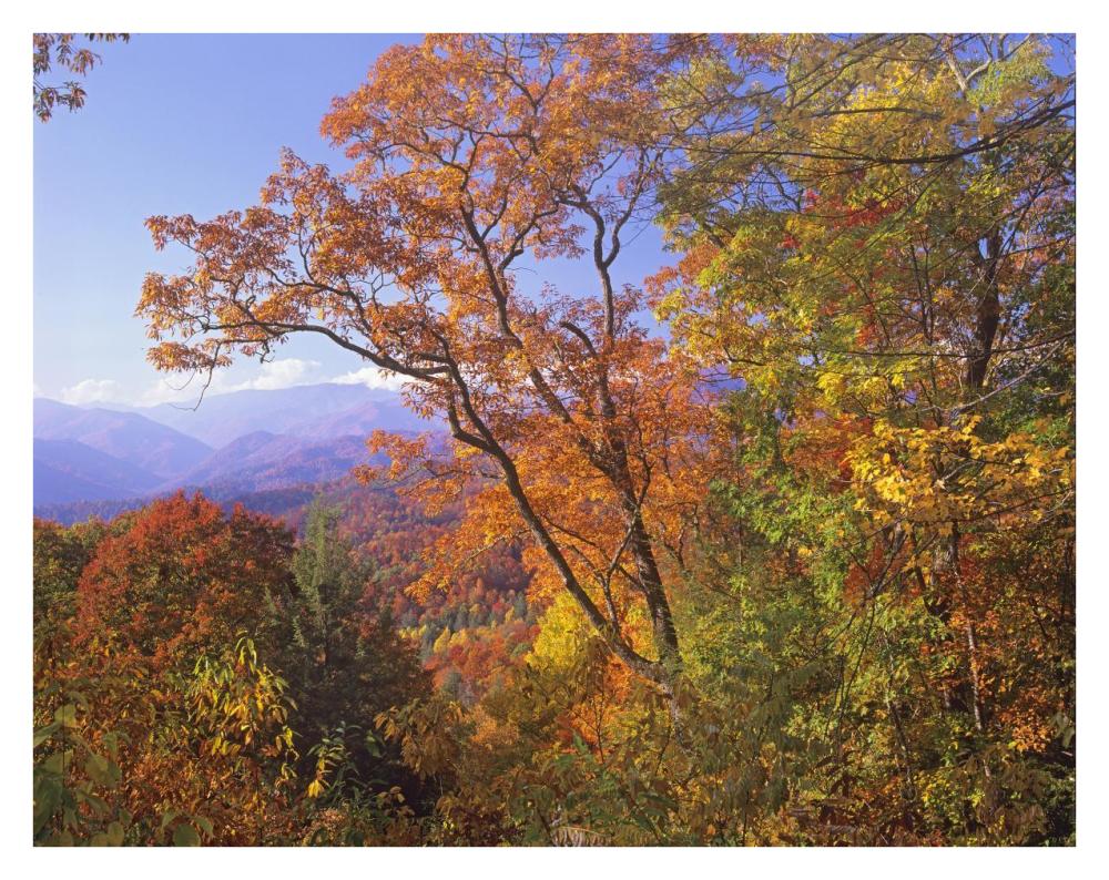 Great Smoky Mountains from, Blue Ridge Parkway, North Carolina-Paper Art-34"x26"