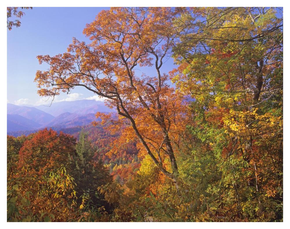 Great Smoky Mountains from, Blue Ridge Parkway, North Carolina-Paper Art-42"x32"