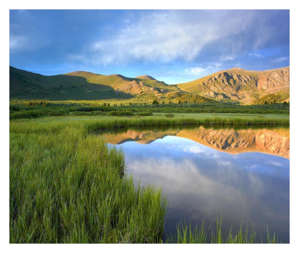 Mount Bierstadt from Guanella Pass reflected in pond, Colorado-Paper Art-32"x26.9"