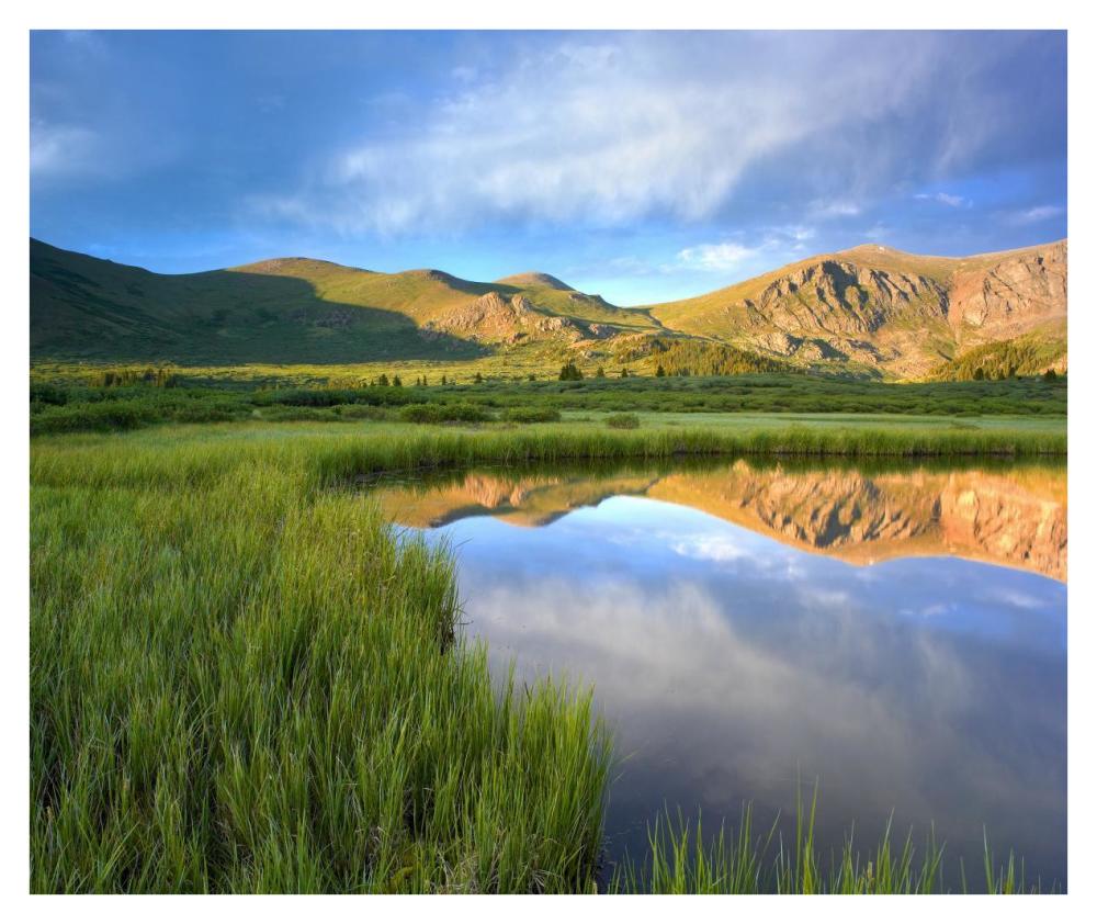 Mount Bierstadt from Guanella Pass reflected in pond, Colorado-Paper Art-38"x31.88"