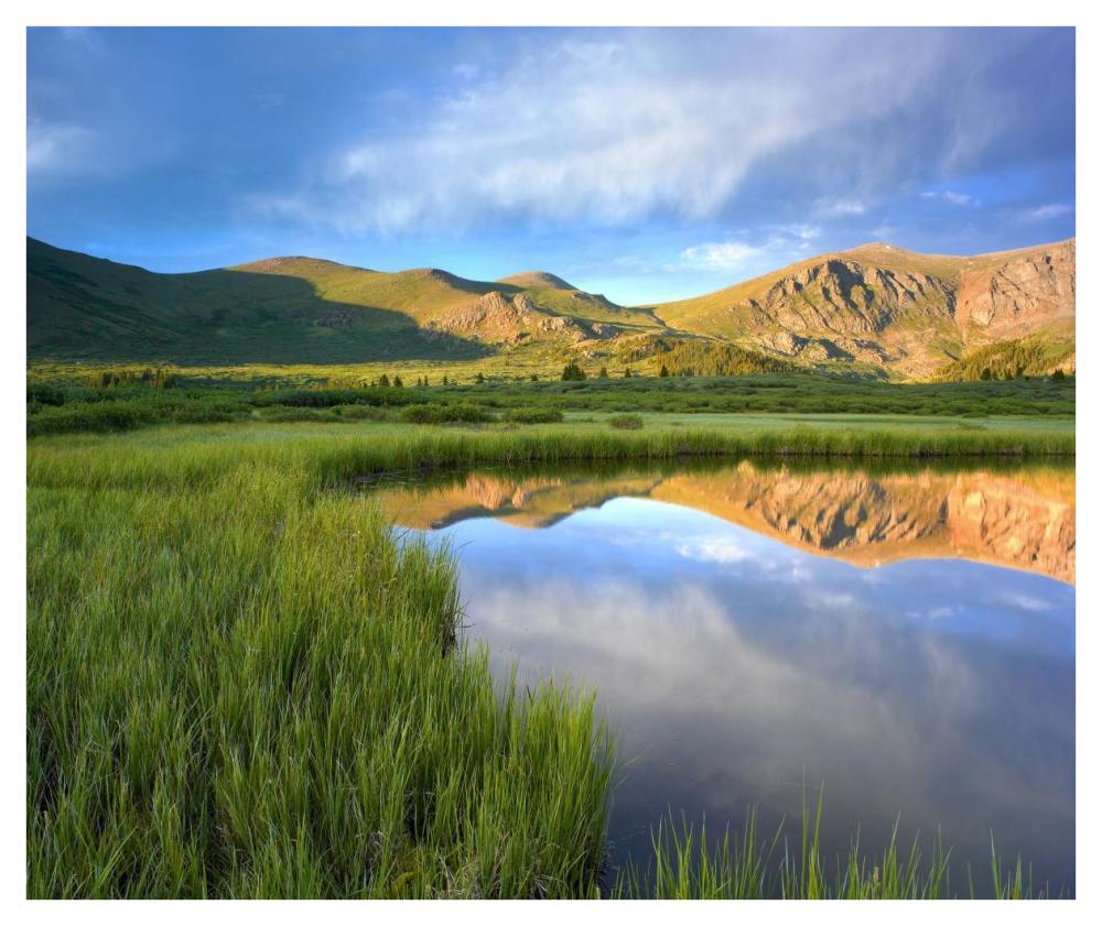 Mount Bierstadt from Guanella Pass reflected in pond, Colorado-Paper Art-42"x35.2"