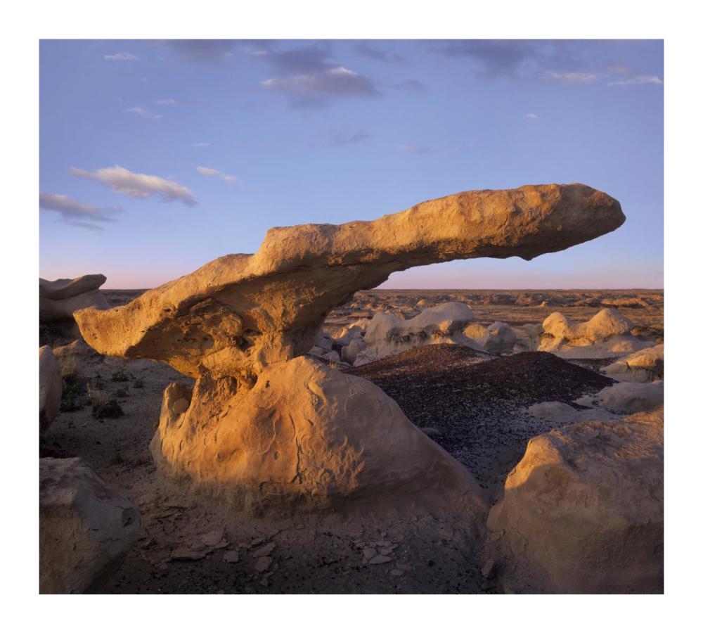 Eroded rock, Bisti Badlands, Bisti Wilderness Area, New Mexico-Paper Art-18"x16.24"