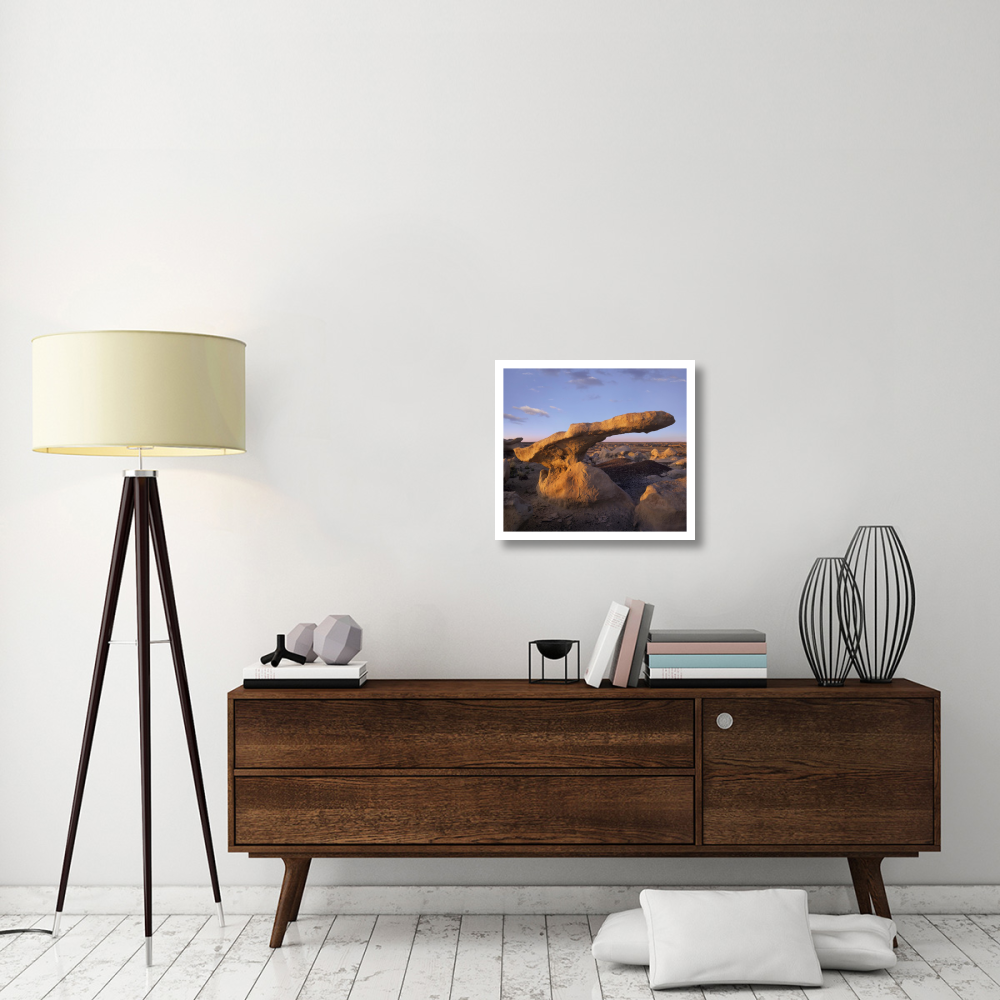 Eroded rock, Bisti Badlands, Bisti Wilderness Area, New Mexico-Paper Art-24&quotx21.58"