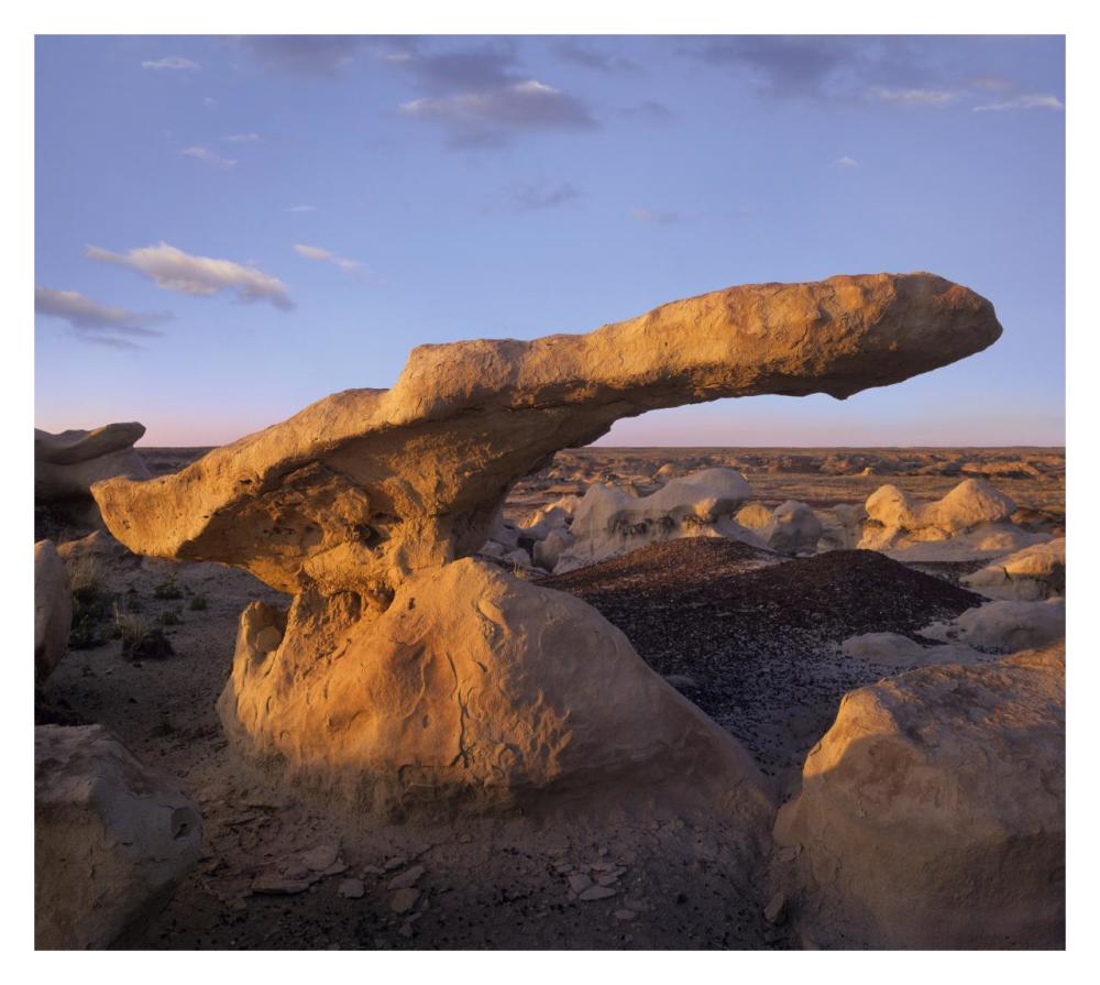 Eroded rock, Bisti Badlands, Bisti Wilderness Area, New Mexico-Paper Art-32"x28.7"