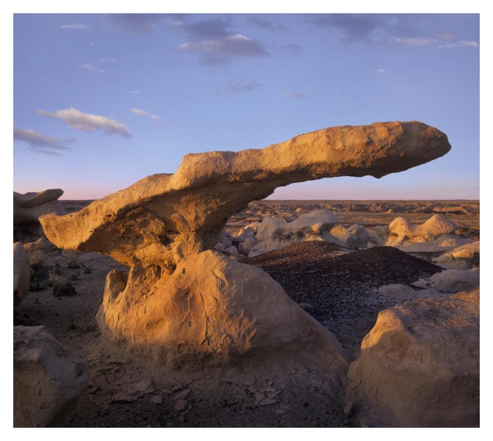 Eroded rock, Bisti Badlands, Bisti Wilderness Area, New Mexico-Paper Art-38"x34.04"