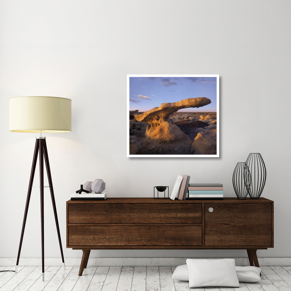 Eroded rock, Bisti Badlands, Bisti Wilderness Area, New Mexico-Paper Art-38&quotx34.04"