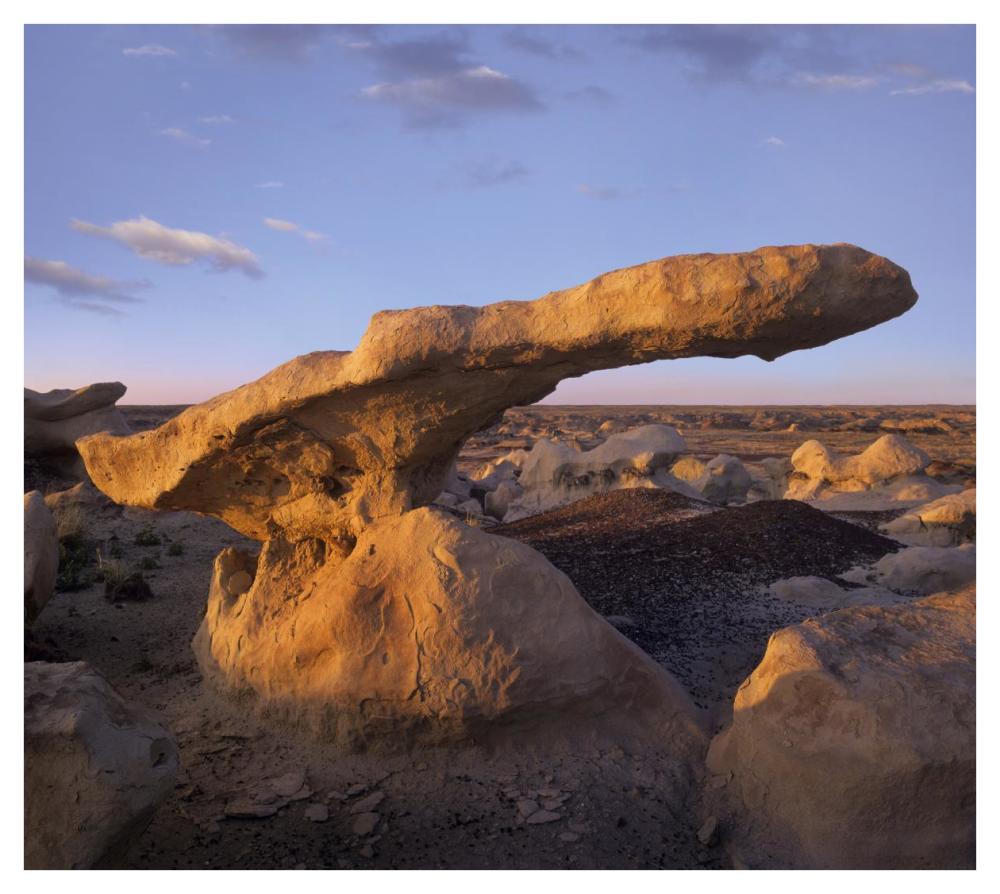 Eroded rock, Bisti Badlands, Bisti Wilderness Area, New Mexico-Paper Art-42"x37.6"