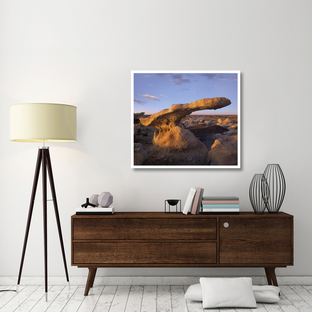 Eroded rock, Bisti Badlands, Bisti Wilderness Area, New Mexico-Paper Art-42&quotx37.6"