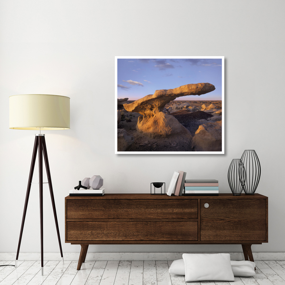 Eroded rock, Bisti Badlands, Bisti Wilderness Area, New Mexico-Paper Art-46&quotx41.16"