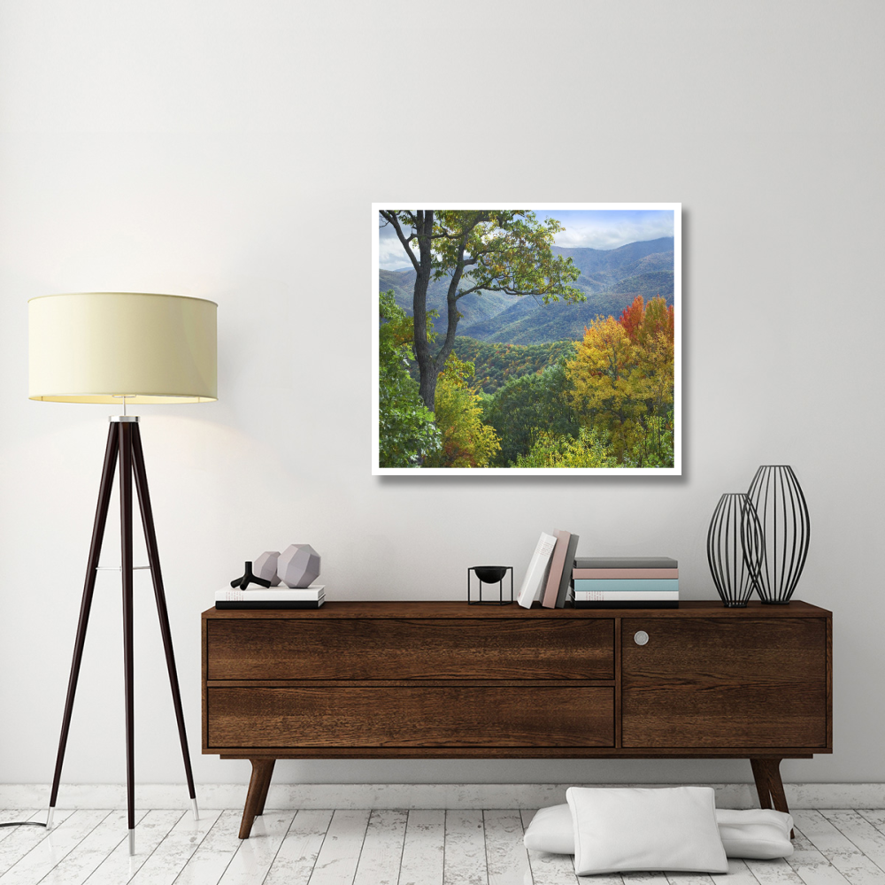 Deciduous forest in autumn, Blue Ridge Parkway, North Carolina-Paper Art-42&quotx37.2"
