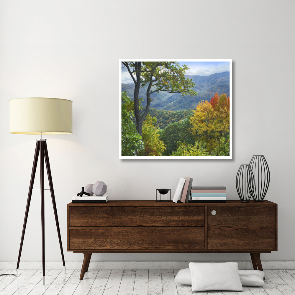 Deciduous forest in autumn, Blue Ridge Parkway, North Carolina-Paper Art-46&quotx40.72"