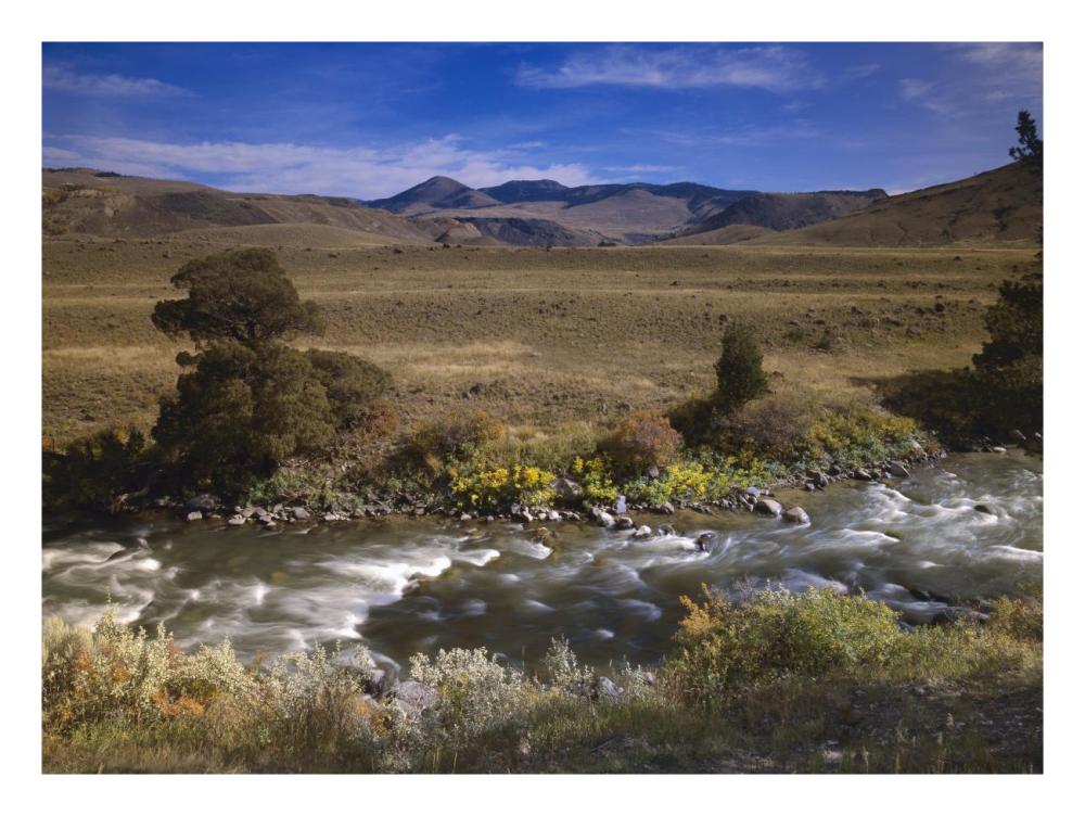 River flowing though meadow, Yellowstone National Park, Wyoming-Paper Art-26"x20"