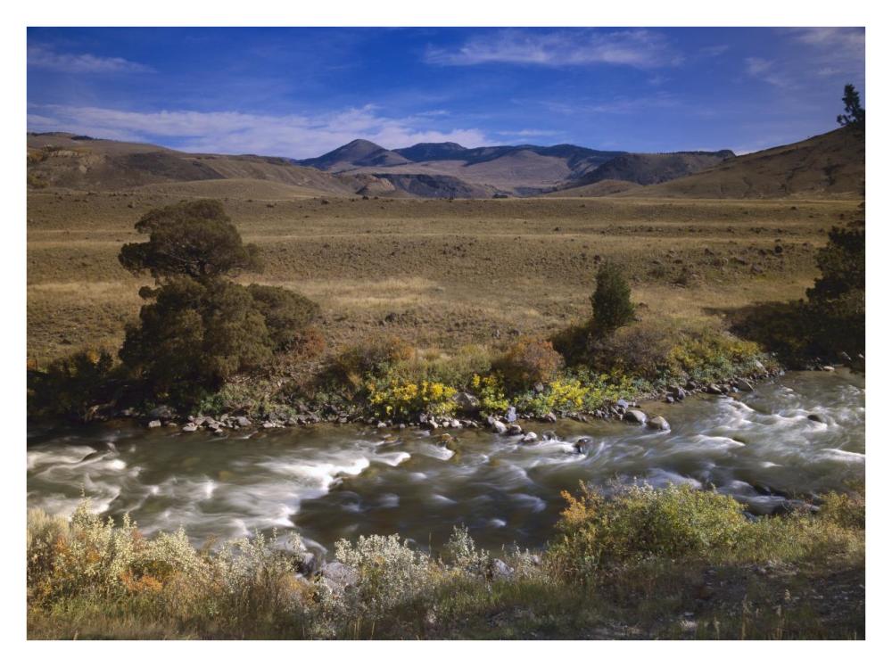 River flowing though meadow, Yellowstone National Park, Wyoming-Paper Art-34"x26"