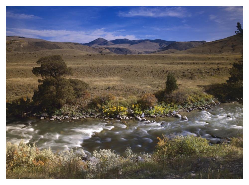 River flowing though meadow, Yellowstone National Park, Wyoming-Paper Art-42"x32"