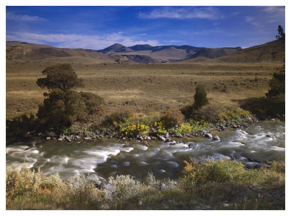 River flowing though meadow, Yellowstone National Park, Wyoming-Paper Art-50"x38"