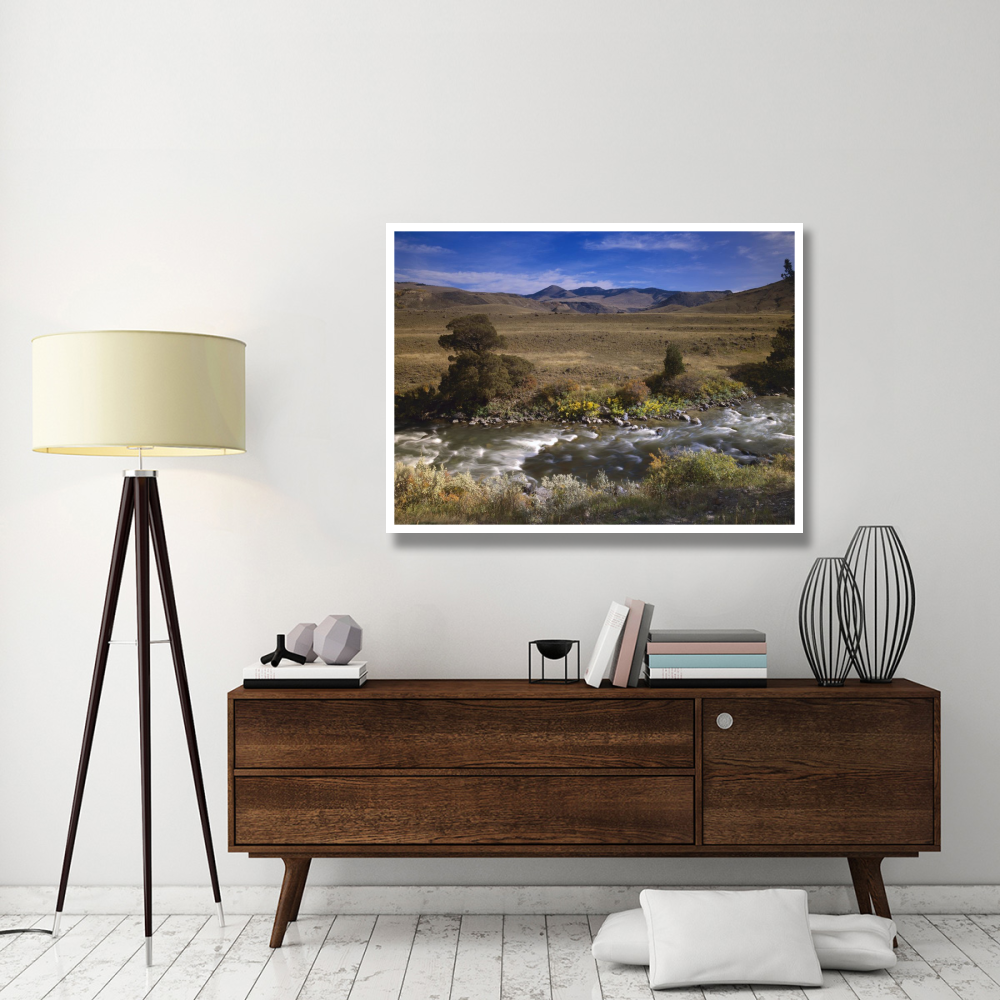 River flowing though meadow, Yellowstone National Park, Wyoming-Paper Art-50&quotx38"