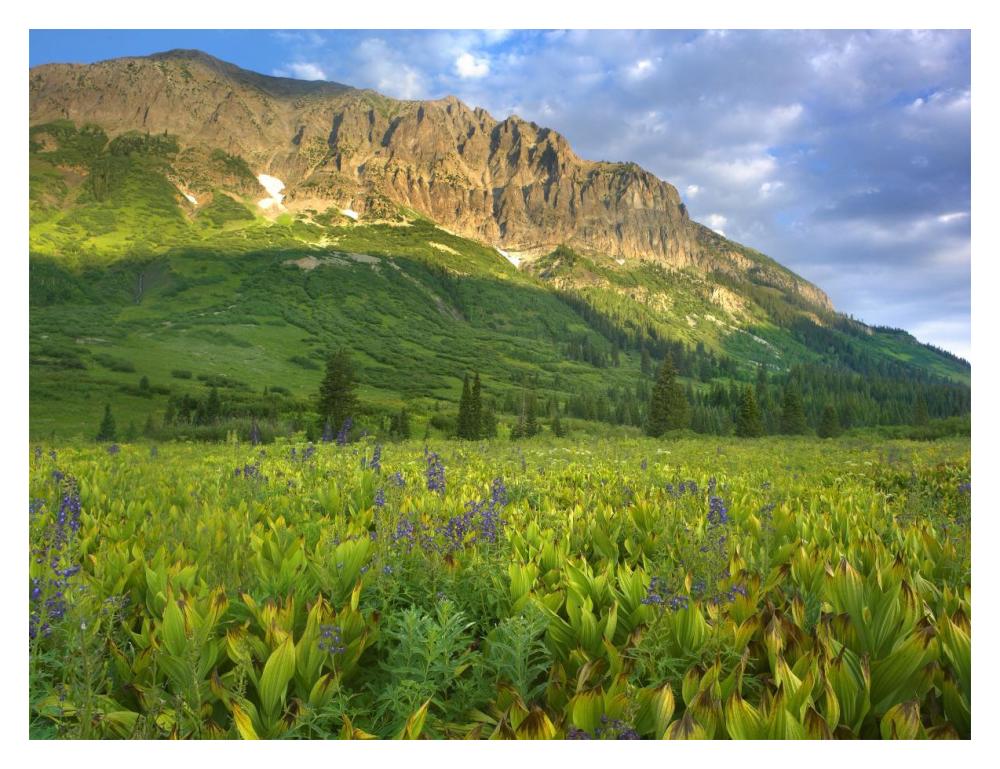 Gothic Mountain overlooking meadow near Crested Butte, Colorado-Paper Art-18"x14"