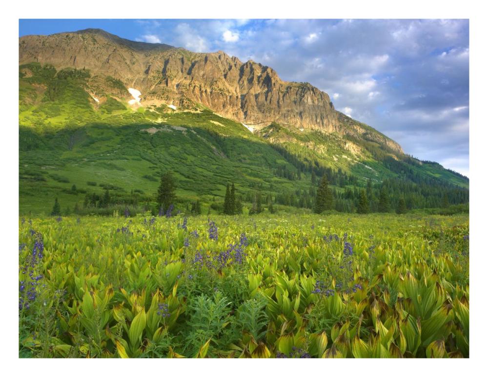Gothic Mountain overlooking meadow near Crested Butte, Colorado-Paper Art-26"x20"