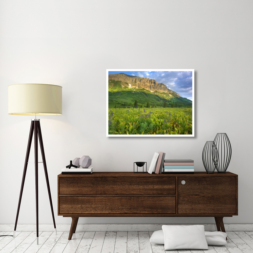 Gothic Mountain overlooking meadow near Crested Butte, Colorado-Paper Art-42&quotx32"