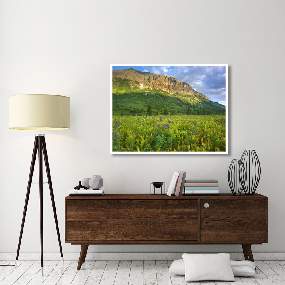 Gothic Mountain overlooking meadow near Crested Butte, Colorado-Paper Art-50&quotx38"