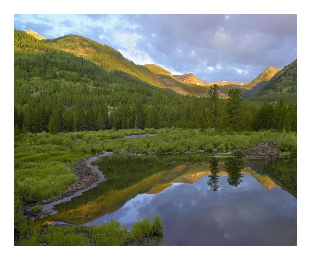 Pond and boreal forest, Ruby Range near Crested Butte, Colorado-Paper Art-22"x18"