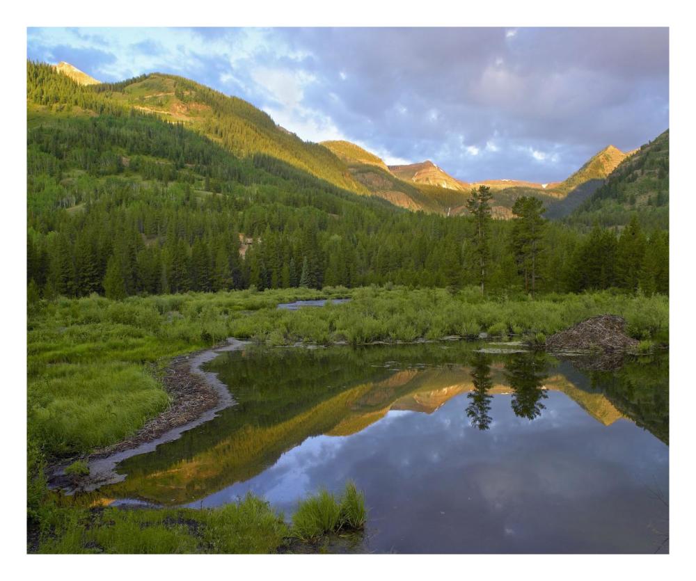 Pond and boreal forest, Ruby Range near Crested Butte, Colorado-Paper Art-26"x22"