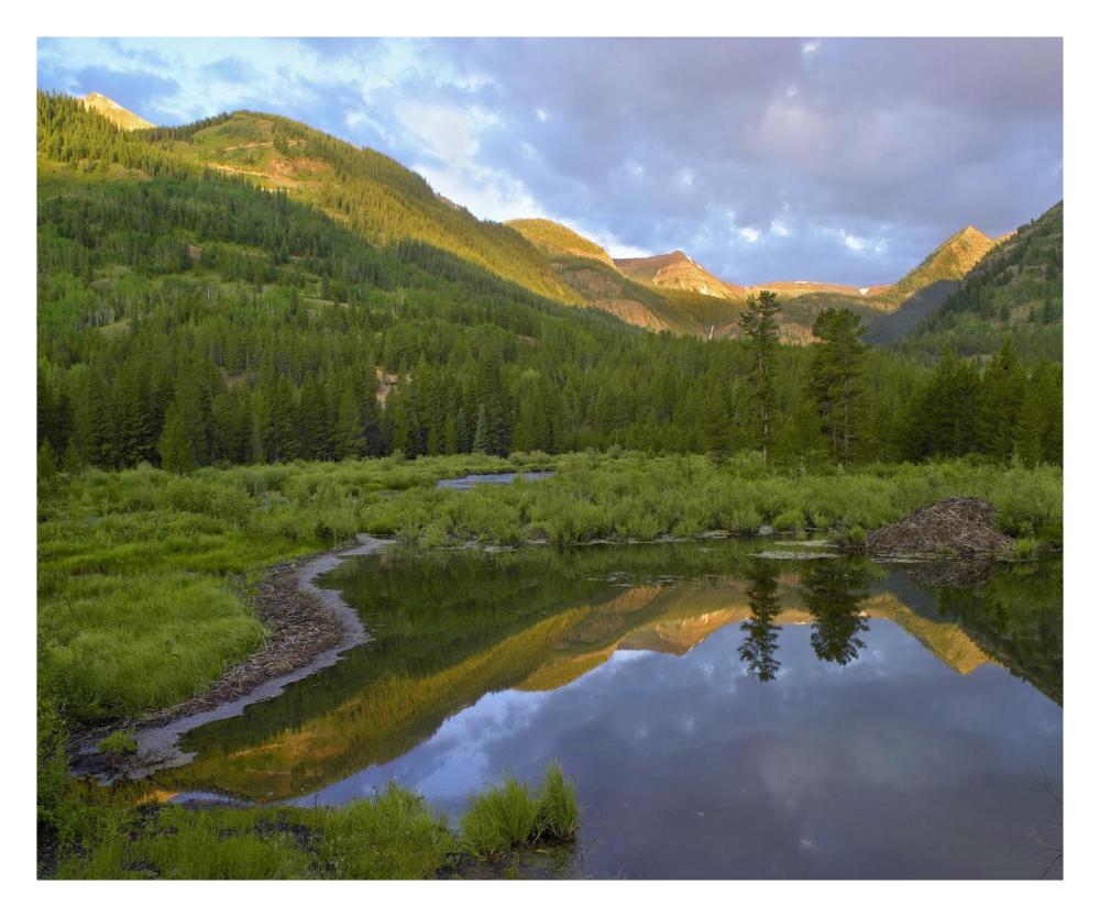 Pond and boreal forest, Ruby Range near Crested Butte, Colorado-Paper Art-30"x24"