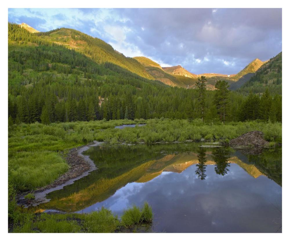 Pond and boreal forest, Ruby Range near Crested Butte, Colorado-Paper Art-37"x30"