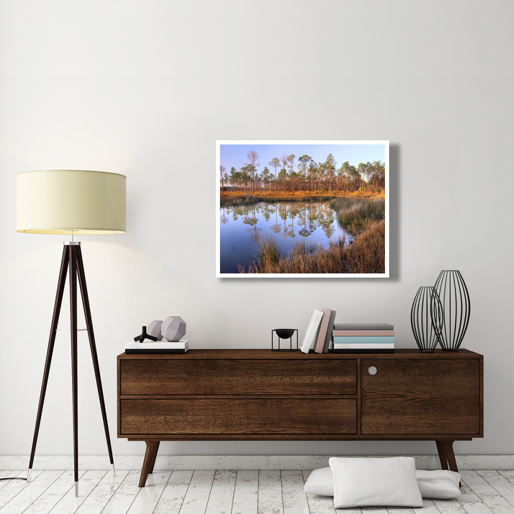 Pines reflected in pond near Piney Point, Hagen's Cove, Florida-Paper Art-42&quotx32"