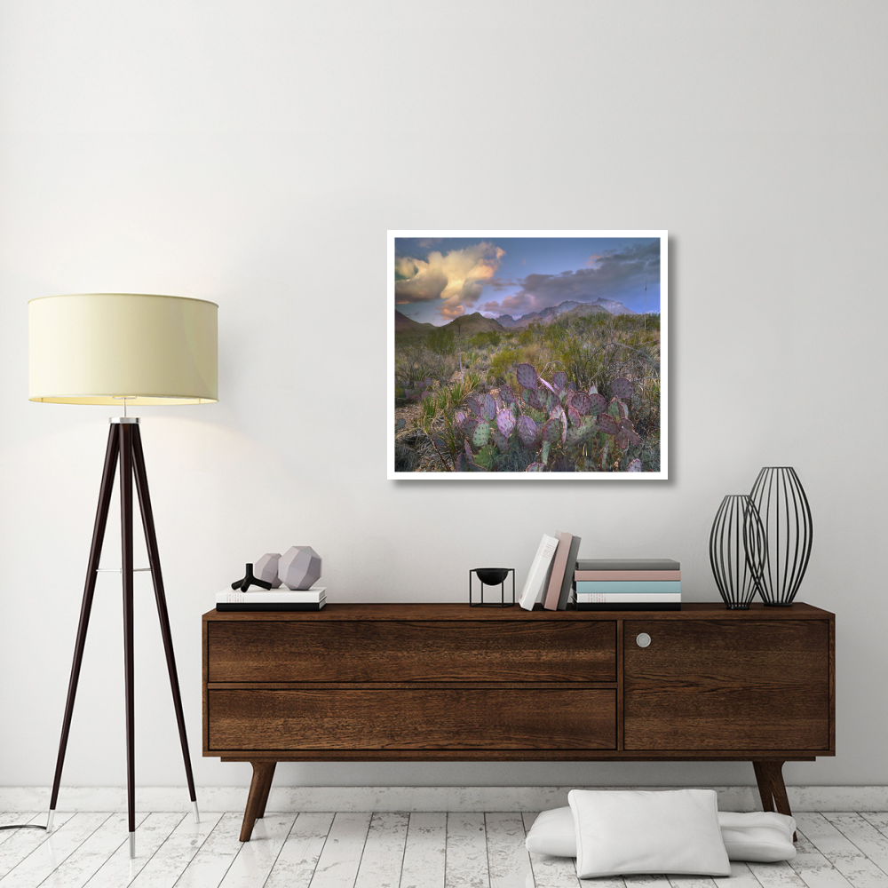 Opuntia cactus, Chisos Mountains, Big Bend National Park, Texas-Paper Art-38&quotx33.68"
