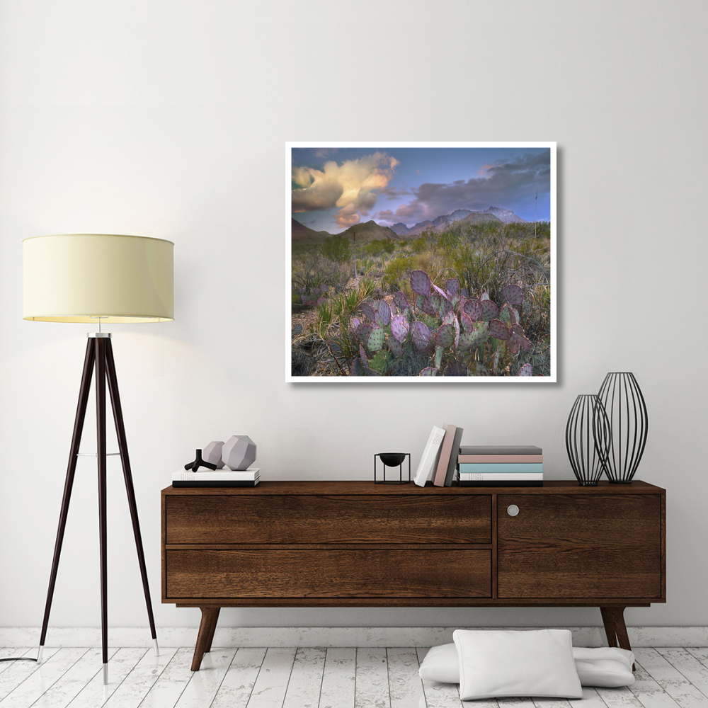 Opuntia cactus, Chisos Mountains, Big Bend National Park, Texas-Paper Art-46&quotx40.72"