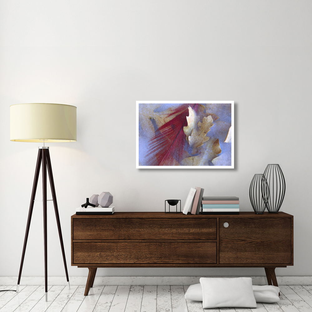 Northern Cardinal feather and Oak leaves frozen in ice, Arizona-Paper Art-38&quotx26"
